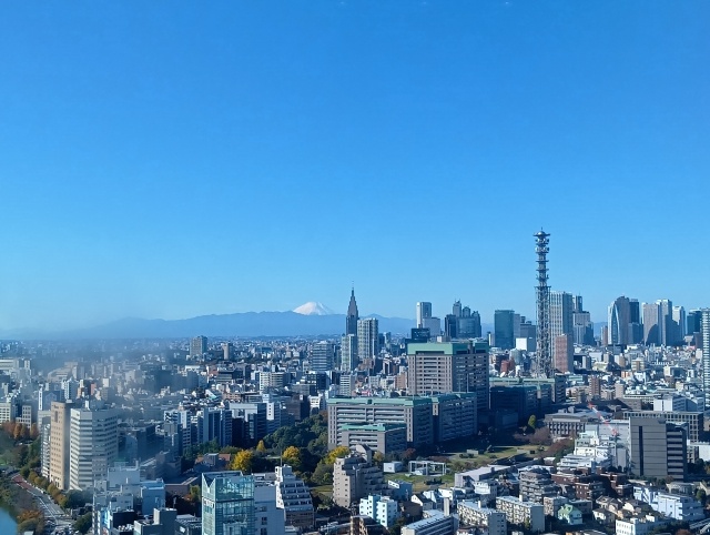 東京の夏