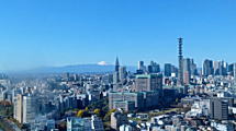 東京の夏の気温と天気